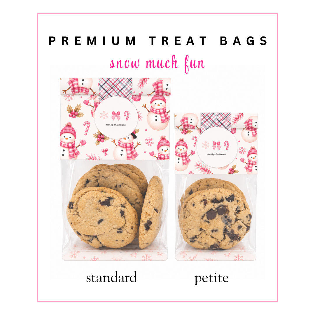 Pre-Sale Premium Treat Bags: Snow Much Fun